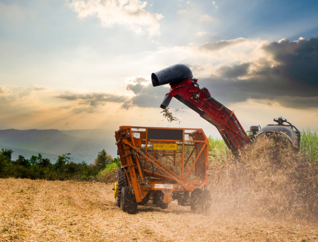 Exportações do agro brasileiro foram de US$ 82,39 bi no primeiro semestre  em 