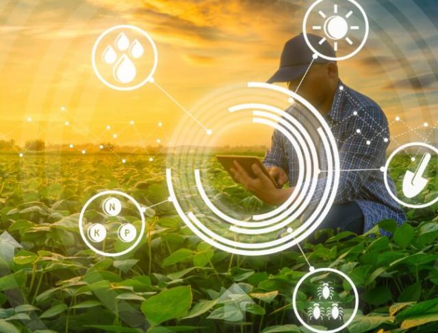 Tecnologia e Inovação: Revolucionando o Agronegócio em 